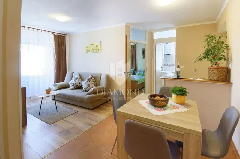 Momjan. Renovated house with several residential units and a tavern! – 2