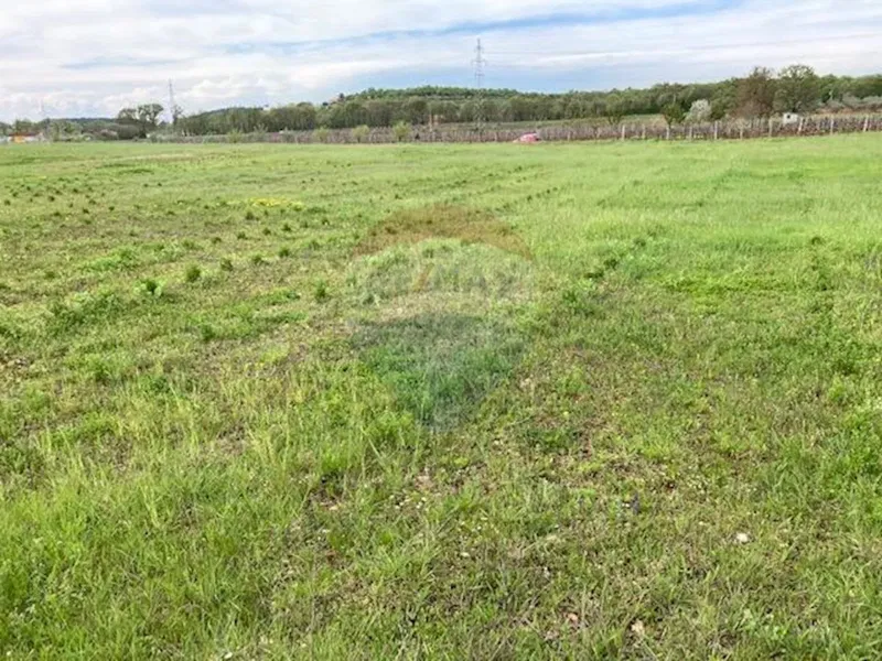 Non-structural plot Mugeba, Poreč, 30.442m2 – 2