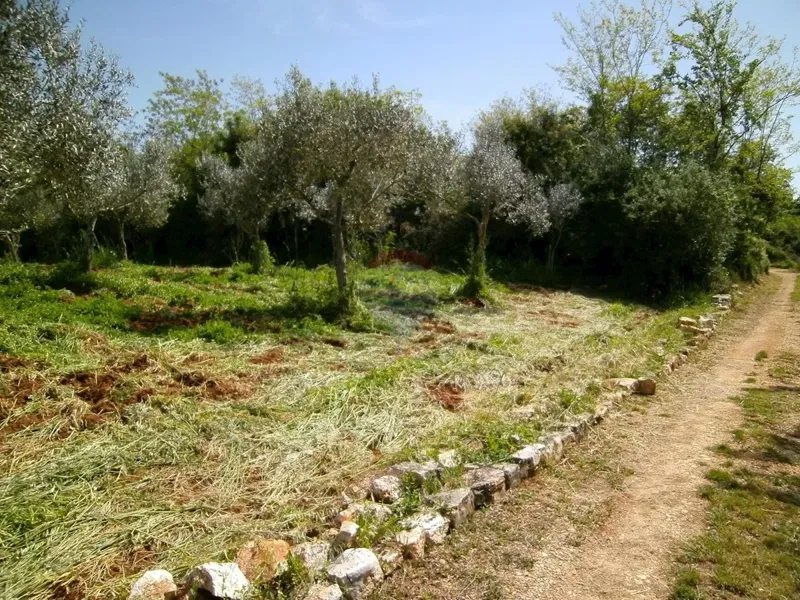 Non-structural plot Fažana, 4.340m2 – 2