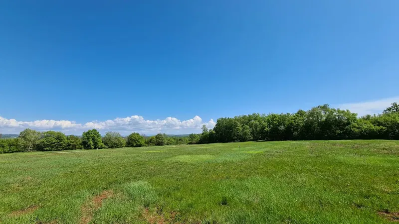 Real estate Istria, building land on sale, Novigrad, near Novigrad – 2