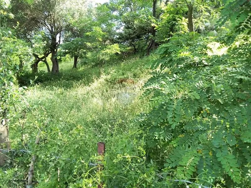 Terreno edificabile Banjol, Rab, 1.116m2 – 3