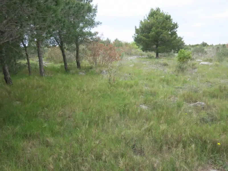 Terreno Vodice – 3