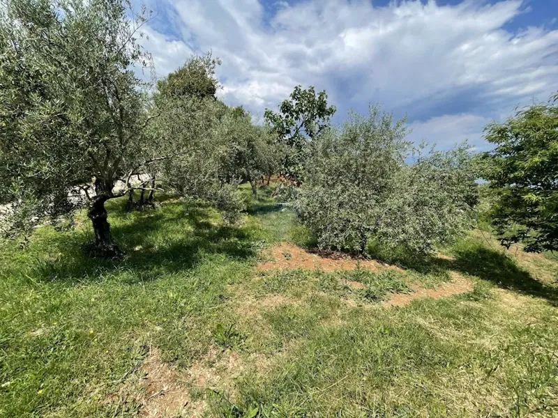 Terreno non edificabile Kalac, Mošćenička Draga, 1.605m2 – 2