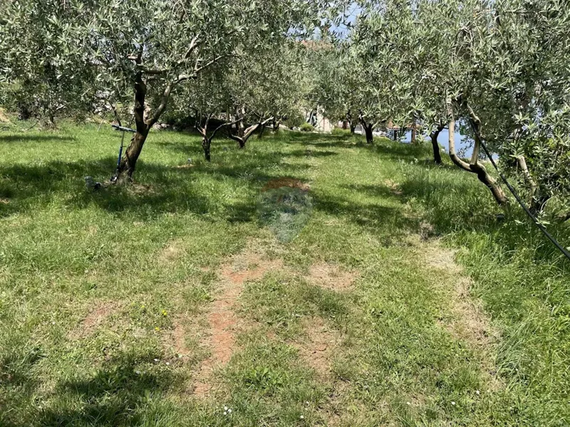 Terreno non edificabile Kalac, Mošćenička Draga, 1.605m2 – 3