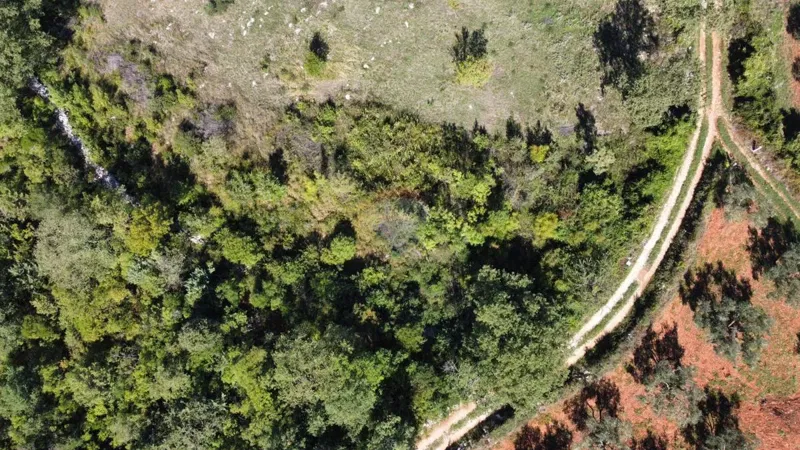 Terreno non edificabile Rovinjsko Selo, Rovinj, 1.000m2 – 2