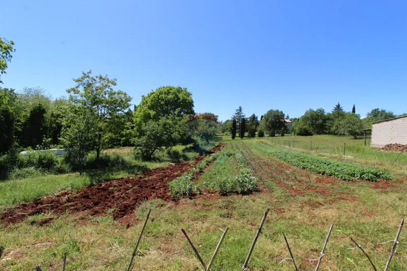 Terreno edificabile Kaštelir, Kaštelir-Labinci, 1.550m2 – 3