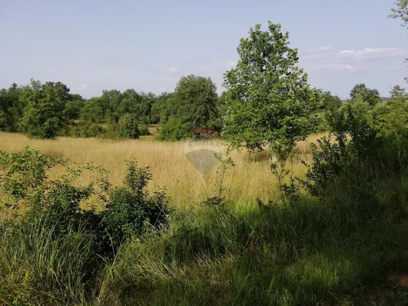 Non-structural plot Tinjan, 3.274m2 – 2