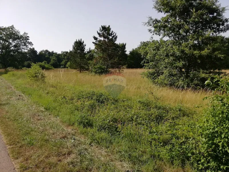 Non-structural plot Tinjan, 3.274m2 – 3