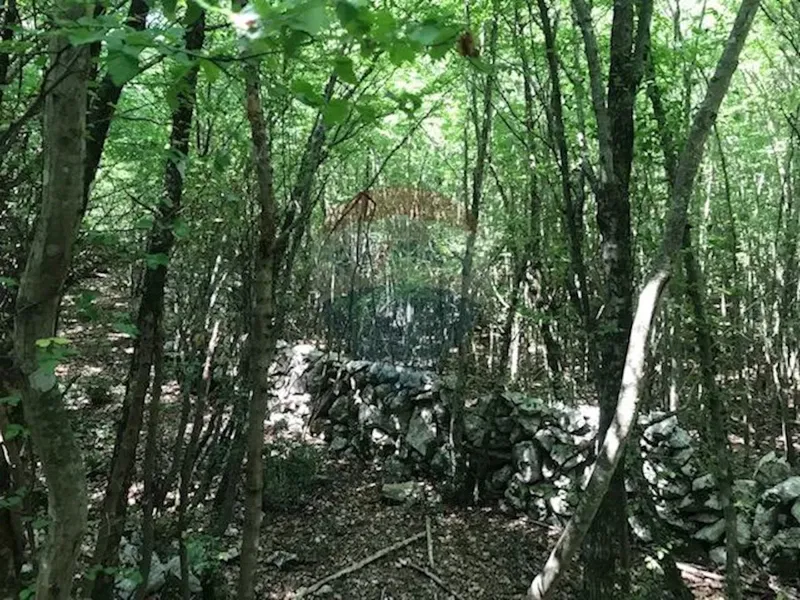 Terreno non edificabile Kras, Dobrinj, 2.349m2 – 2