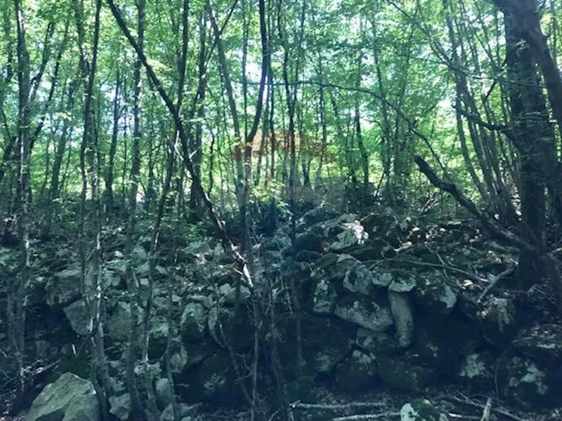 Terreno non edificabile Kras, Dobrinj, 2.349m2 – 3