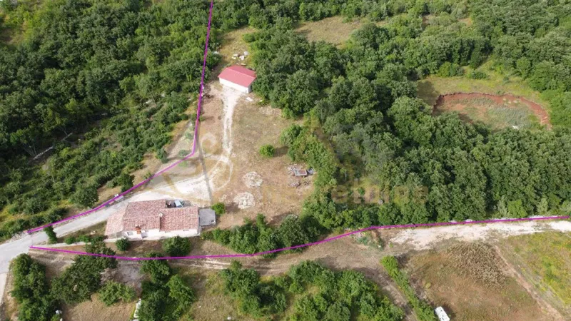 LARGE PROPERTY WITH HOUSE – 3
