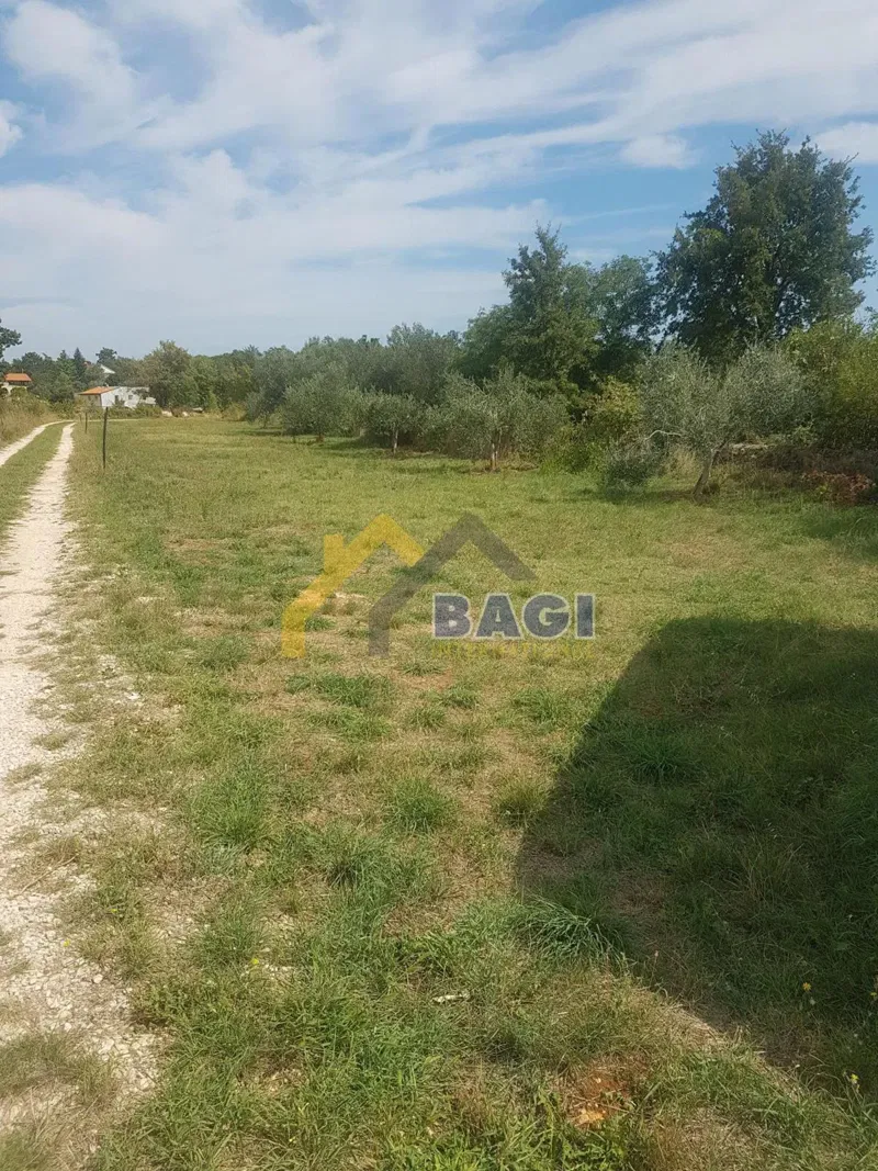 Terreni agricoli Pavićini, Marčana, 400m2 – 3