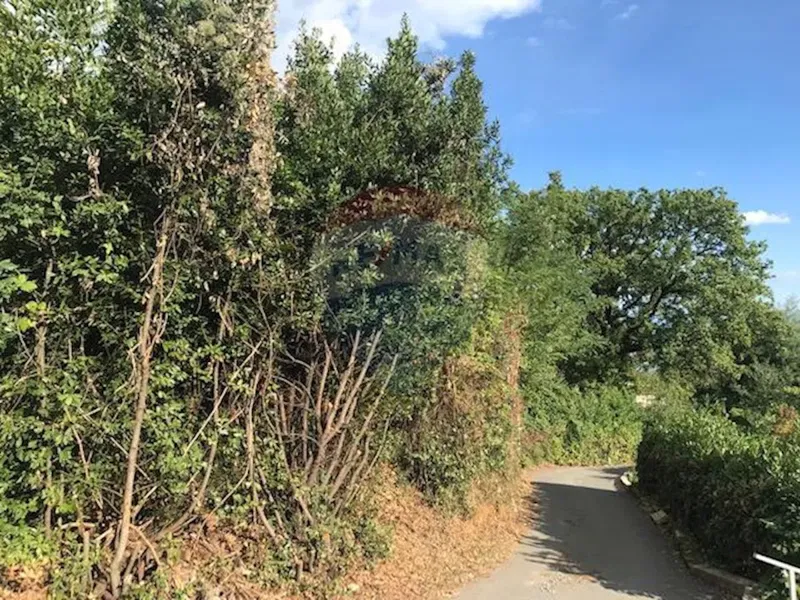 Telek Ika – 3