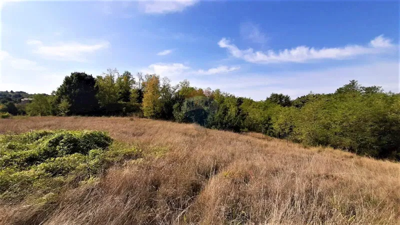 Terreno edificabile Karojba, 3.610m2 – 2
