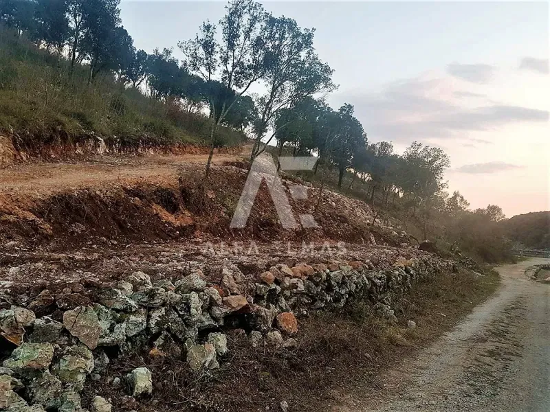 Krk, surroundings, agricultural land "TOP" location first row to the sea!! ID 114 – 3