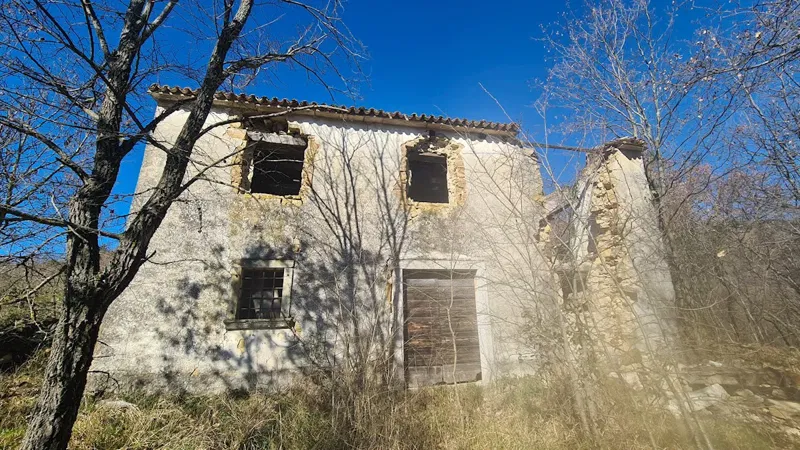Immobili Istria, vendesi grande tenuta in collina, dintorni Buje - Buie – 2