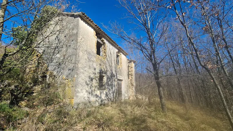 Immobili Istria, vendesi grande tenuta in collina, dintorni Buje - Buie – 3