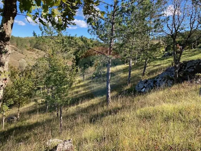 Non-structural plot Trviž, Pazin - Okolica, 14.374m2 – 3