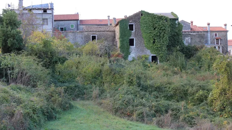 House Buje, 460m2 – 2
