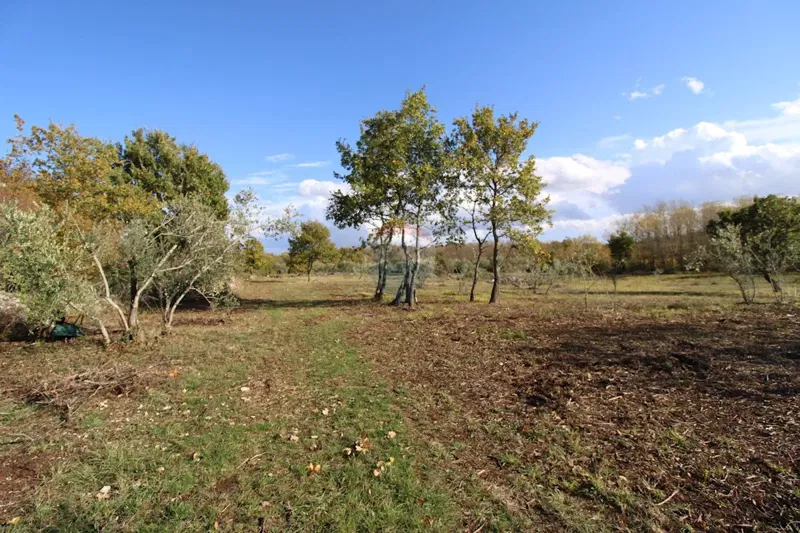 Non-structural plot Kaštelir, Kaštelir-Labinci, 8.578m2 – 2