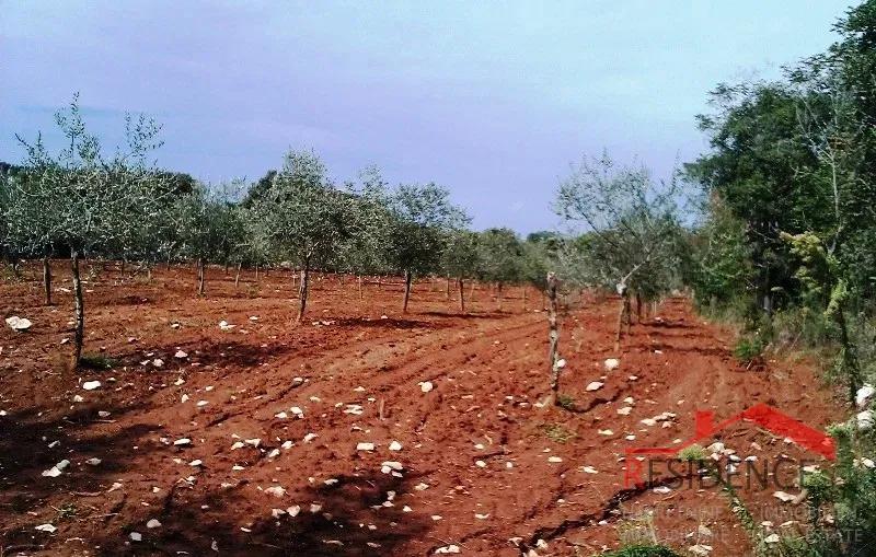 Terreno Fažana – 2