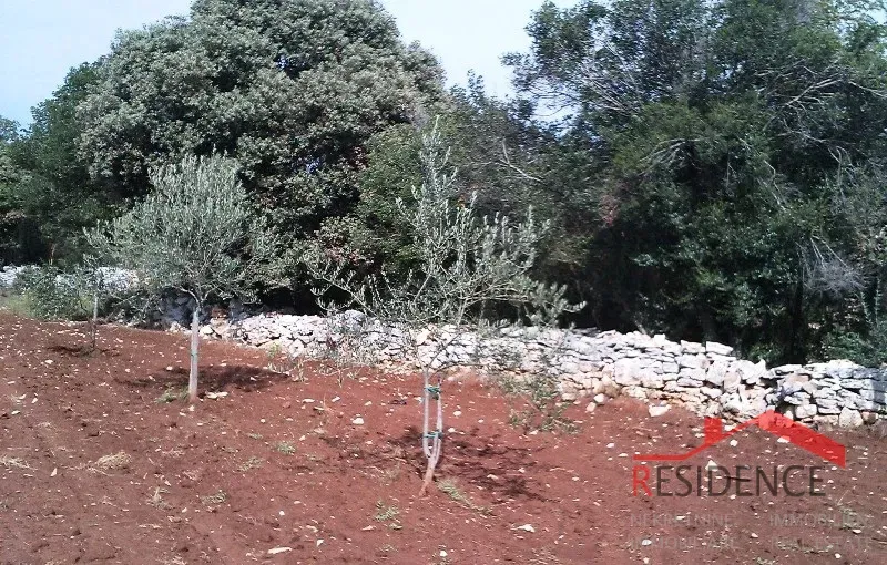 Terreno Fažana – 3