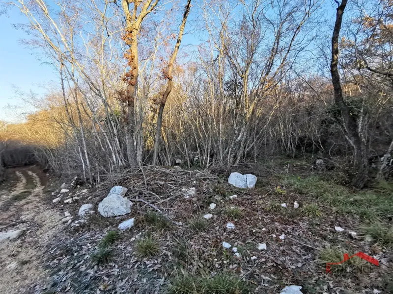 Land Bale – 2