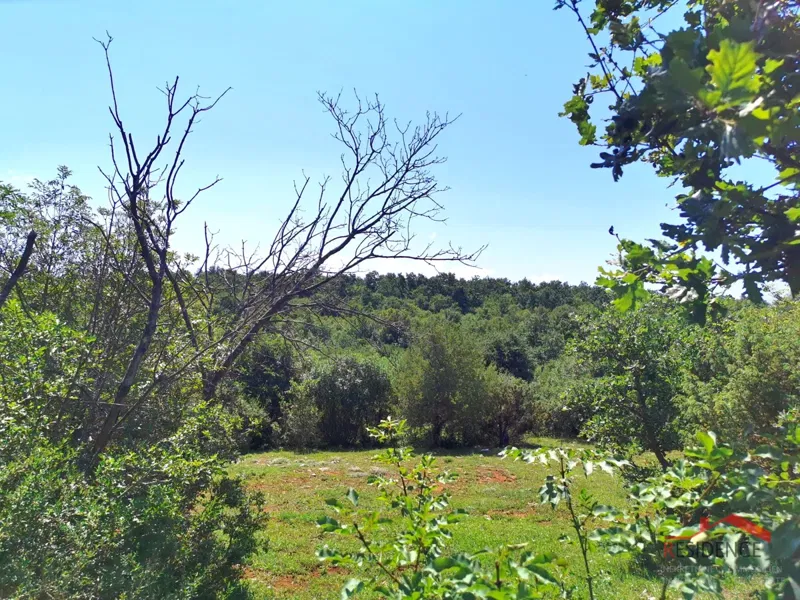 Land Bale – 2
