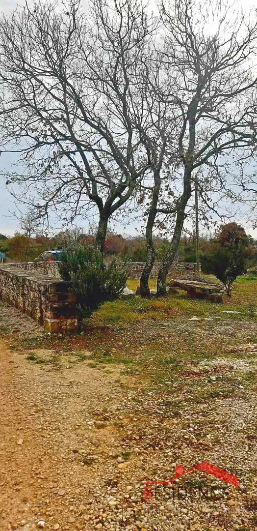 Land Barbariga – 3