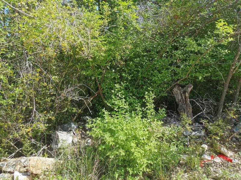 Land Vodnjan – 3