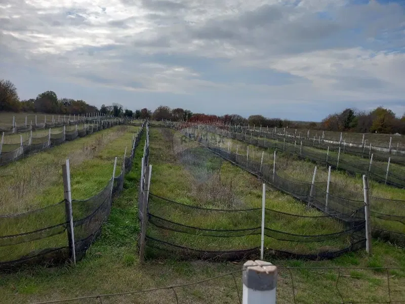 Terreno non edificabile Krnica, Marčana, 5.460m2 – 3
