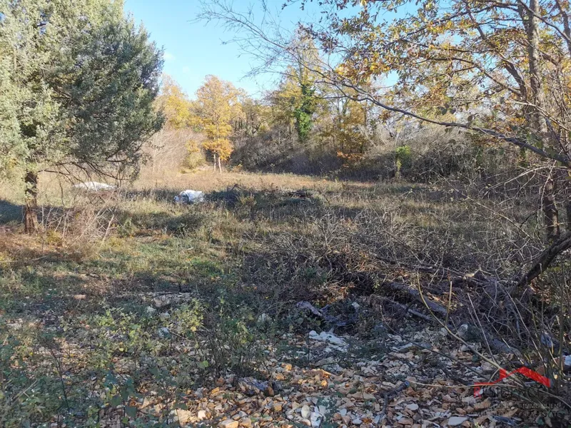 Juršići-Mičini, agricultural land – 3
