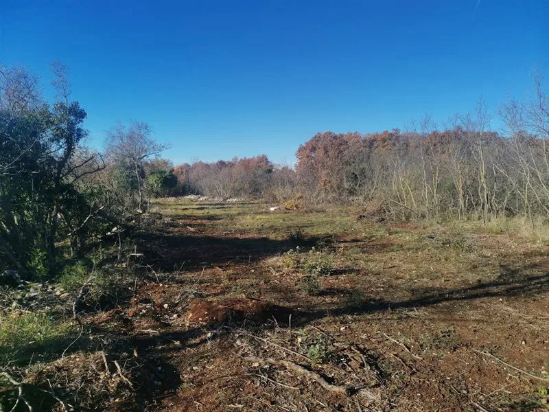 Terreno agricolo, Galižana, 2100m2 – 3