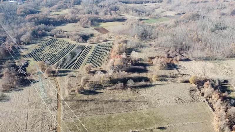 Terreno non edificabile Nedešćina, Sveta Nedelja, 9.824m2 – 2