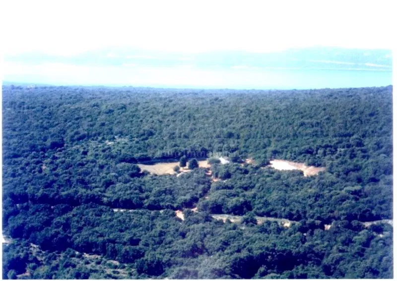 Punta Križa, island of Cres, land – 2
