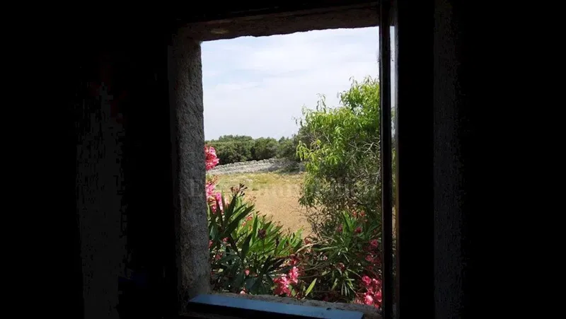 Punta Križa, island of Cres, land – 3