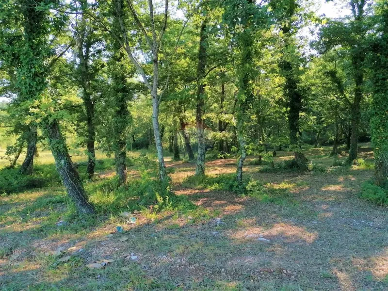 Building plot Kringa, Tinjan, 21.566m2 – 3