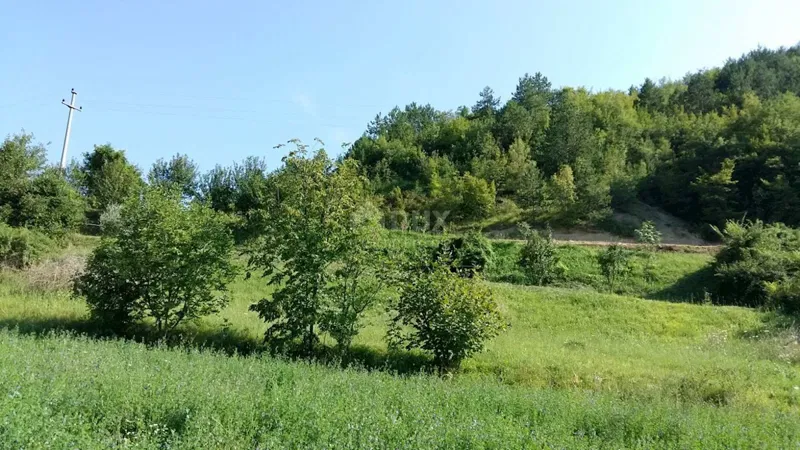 Terreno Kršikla, Pazin - Okolica, 45.398m2 – 2
