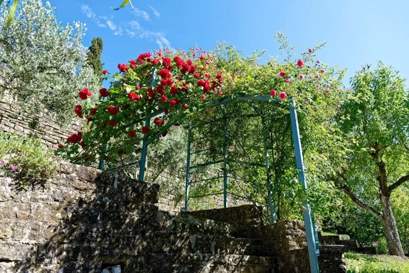 Immobili Istria, vendo casa, dintorni Buje-Buie – 2