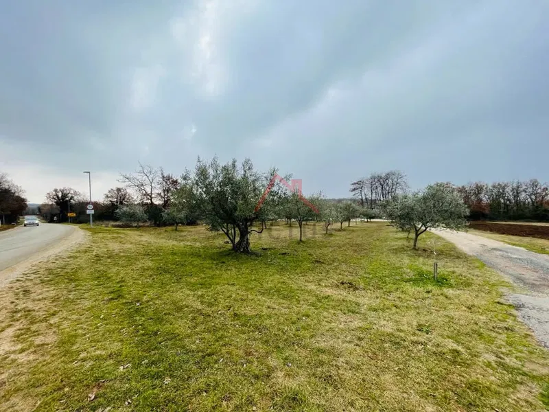 BRTONIGLA - building land with olive grove – 2