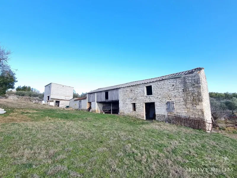 Property in the vicinity of Buje – 3