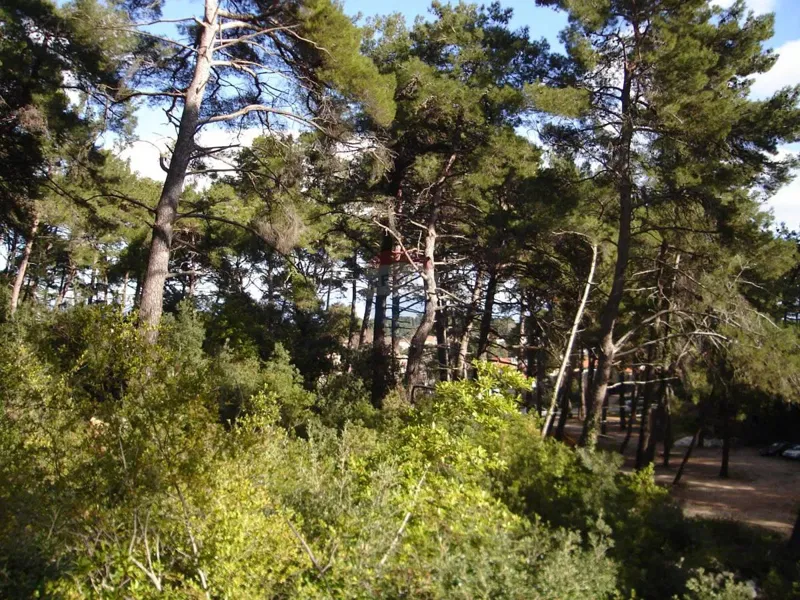 Terreno edificabile Veli Lošinj, Mali Lošinj, 2.000m2 – 3