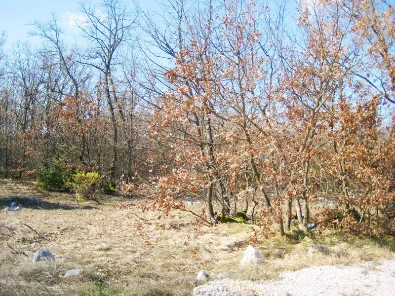 Działka Kraj – 2