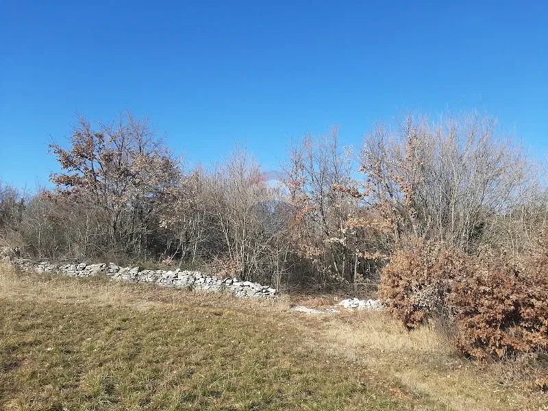Terreno edificabile Kranjčići, Svetvinčenat, 9.632m2 – 3