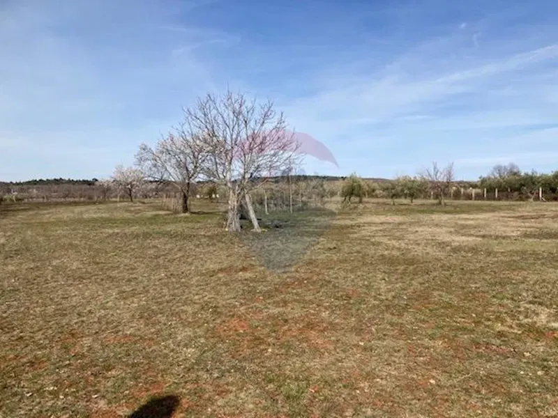Non-structural plot Ženodraga, Višnjan, 32.614m2 – 3