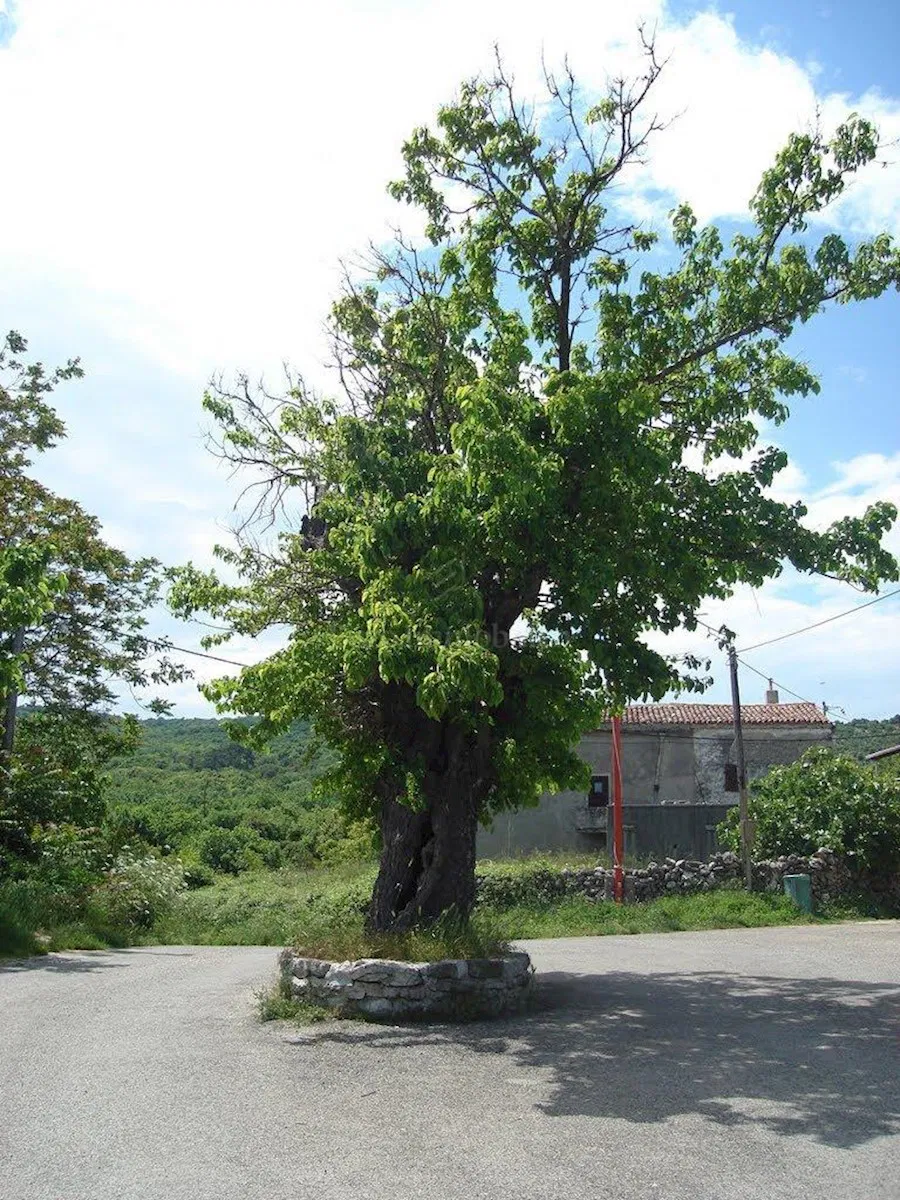 Građevinsko zemljište, otok Cres
