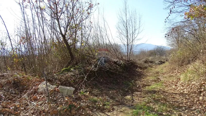 Building plot Viškovo, 2.731m2 – 2