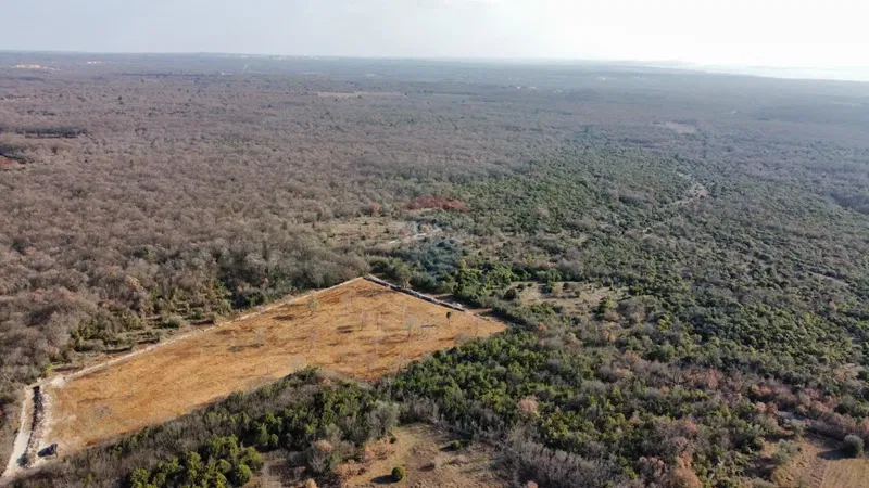 Земельный участок нестроительного назначения Bale, 11.470m2 – 3
