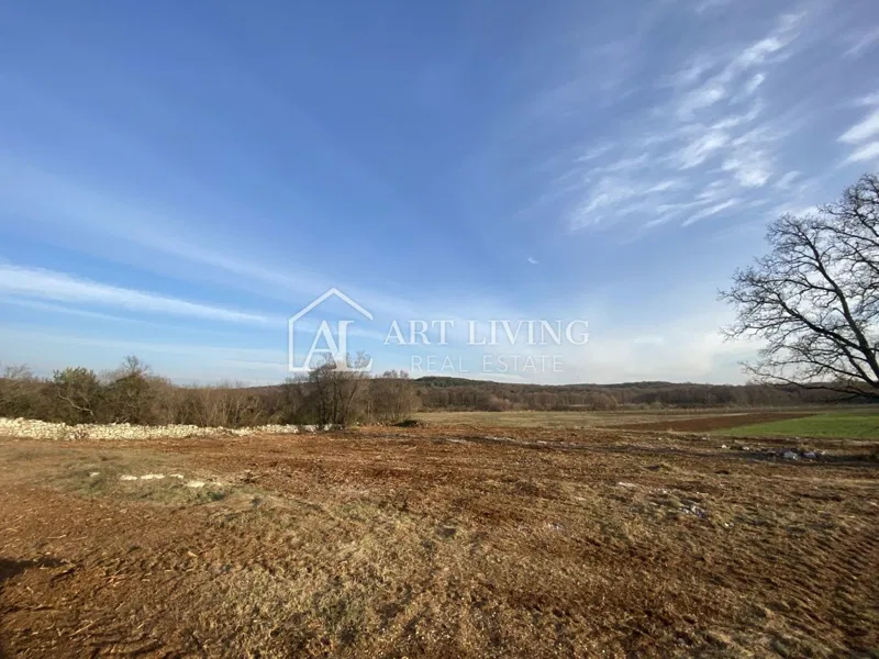 Istra- Bale, Iznimno vrijedno poljoprivredno zemljište 11,200 m2 – 2