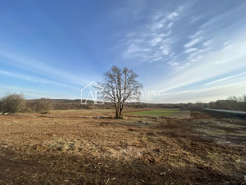 Istra- Bale, Iznimno vrijedno poljoprivredno zemljište 11,200 m2 – 3